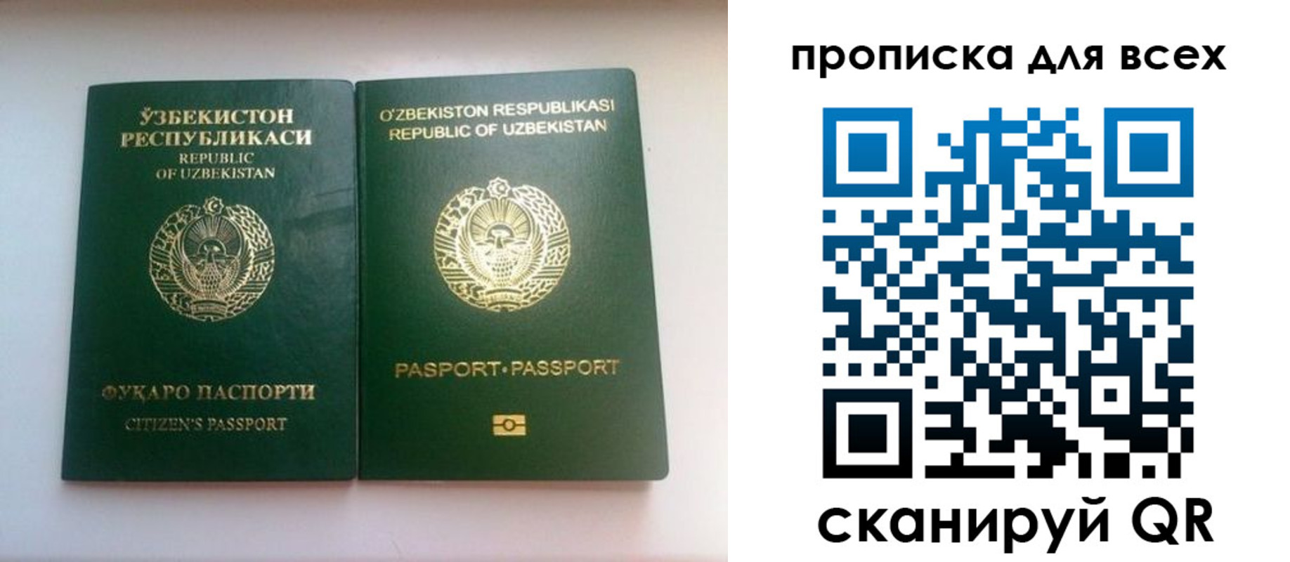 прописка для школы в Мантурово